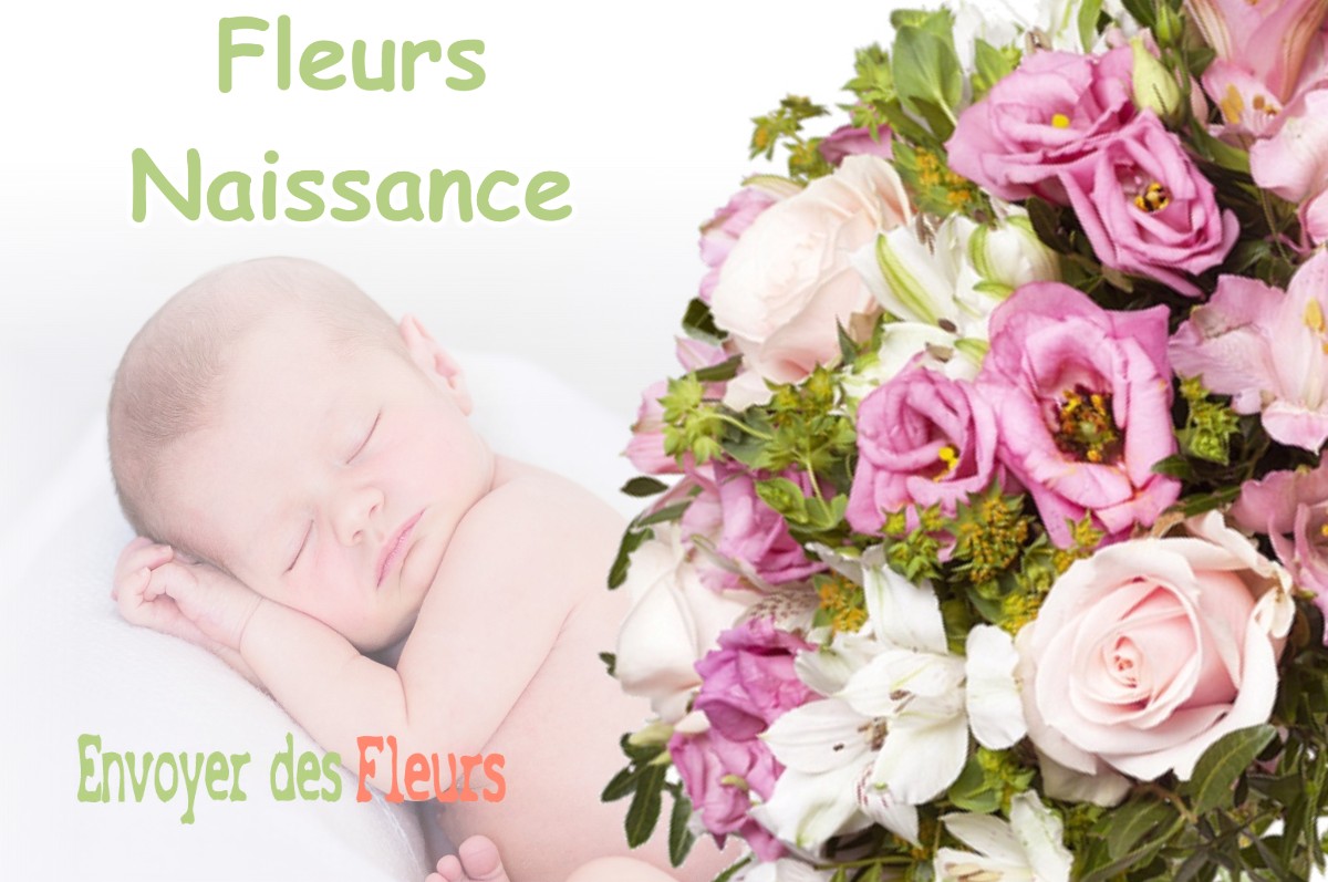 lIVRAISON FLEURS NAISSANCE à LIEUCHE