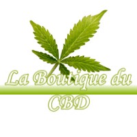 LA BOUTIQUE DU CBD LIEUCHE 